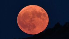 Espectacular “Luna llena del Cazador” el 20 de octubre: Todo lo que debe saber