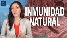 Nuevo estudio: 96% de inmunidad natural persiste más de 12 meses después de infección por COVID