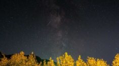 Hermosa lluvia de meteoros de las Oriónidas está a días de su noche más álgida: ¡No te la pierdas!