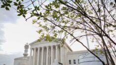 Corte Suprema inicia nuevo año judicial y verá casos sobre el aborto y la Segunda Enmienda