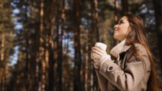 Término solar: Lleve una alimentación adecuada ahora para disfrutar de un invierno saludable