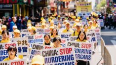 En el límite del crimen: Falta de información en prensa sobre sustracción forzada de órganos en China