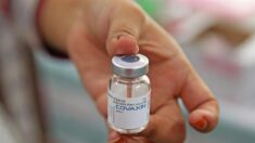 OMS aprueba el uso de emergencia de la vacuna anti-covid india Covaxin