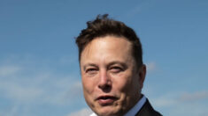 Seguidores de Twitter votan «sí» a que Elon Musk venda el 10 por ciento de sus acciones de Tesla