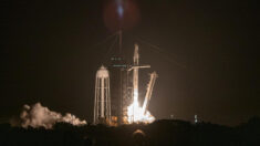 Despega tercera misión comercial tripulada de la NASA y SpaceX hacia la EEI