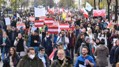 Multitudinaria protesta en Viena contra el confinamiento y la vacunación obligatoria