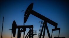 Intervención de Biden en reservas de petróleo puede desencadenar guerra con la OPEP: estrategas
