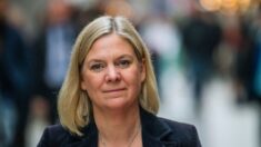 Dimite la primera ministra sueca horas después de asumir el cargo