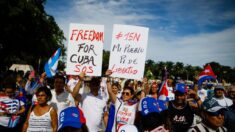 Legisladores estadounidenses, la ONU y la UE expresan su apoyo a las protestas en Cuba
