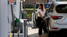 Los precios de la gasolina caen en todo el país en la última semana