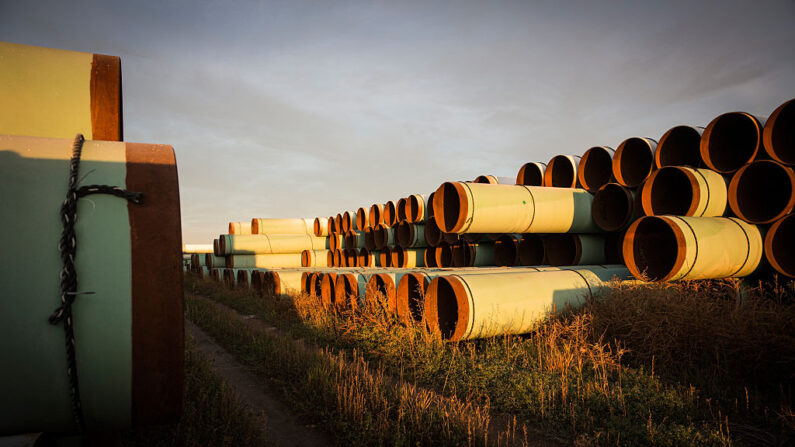 Millas de tubería sin usar, preparadas para el propuesto oleoducto Keystone XL, se encuentran en un lote el 14 de octubre de 2014 en las afueras de Gascoyne, Dakota del Norte. (Andrew Burton/Getty Images)