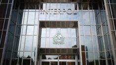 Aumenta la oposición a postulación a Interpol de alto funcionario de seguridad chino
