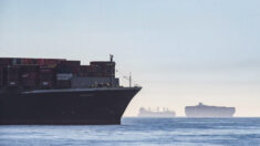 Acumulación de buques portacontenedores en puertos de California alcanza un récord