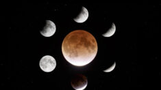 Fotógrafo capta sorprendentes imágenes del eclipse lunar parcial más largo del siglo
