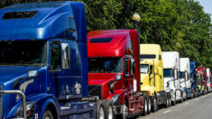 Camioneros advierten que «desastrosa» orden de la OSHA empeorará el caos en cadena de suministro