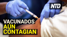 NTD Noticias: Las personas vacunadas juegan papel “relevante” en la transmisión del COVID-19
