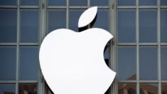 Bruselas abre una investigación a las tiendas de aplicaciones de Apple y Google