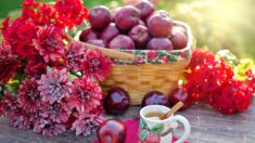 Los mejores usos del vinagre de sidra de manzana