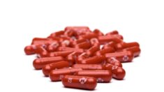 Asesores de la FDA aprueban recomendar píldora COVID-19 de Merck para uso de emergencia
