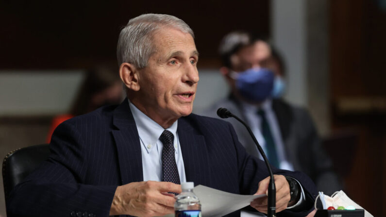 El Dr. Anthony Fauci, director del Instituto Nacional de Alergias y Enfermedades Infecciosas, testifica ante un comité del Senado en Washington el 4 de noviembre de 2021. (Chip Somodevilla/Getty Images)