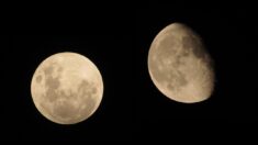 Eclipse de la «Luna de Castor» de 2021: Cuándo y cómo verlo esta semana