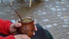 Yerba mate: una alternativa extra saludable para tener más energía