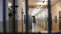 Director de prisiones dimite tras informe que dice que las cárceles son un “semillero de abusos”