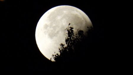 “Luna Llena del Castor” de noviembre coincidirá con el eclipse lunar más largo del siglo