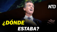 NTD Noticias: Newsom reaparece tras 12 días ausente; Abbott pide retirar contenido obsceno en escuelas