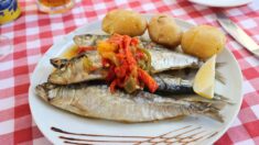 Revolucionario estudio demuestra que las sardinas ayudan a prevenir la diabetes