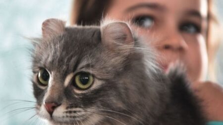 Bebé y gatito forman fuerte vínculo al compartir labio leporino y paladar hendido