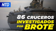 NTD Noticias: 86 cruceros investigados por brotes; CDC: No hay por el momento mandato en vuelos nacionales