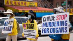 Crimen de la sustracción de órganos en China será un tema central del Día de los Derechos Humanos