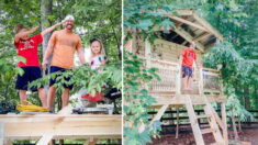 Padre atrapado en casa durante COVID construye casa en el árbol para sus hijos, y ahora es su negocio
