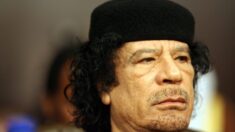 Búsqueda de la fortuna de 100,000 millones de dólares de Gadafi llega a Nueva York