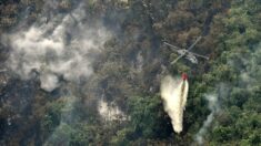 Incendio arrasa unas 41,000 hectáreas de parque natural del este de Colombia