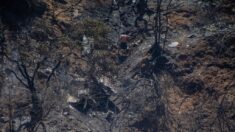 Incendios forestales en el centro-sur de Chile consumen 11,000 hectáreas