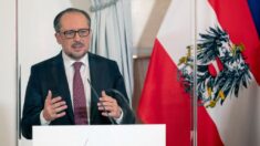 Dimite el canciller federal de Austria por cambios en el partido conservador