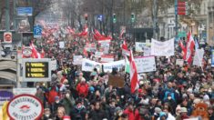Miles de personas protestan contra la vacunación obligatoria en Viena