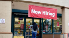 Ofertas de empleo se recuperan a nivel casi récord y son nueva señal de mercado laboral reducido