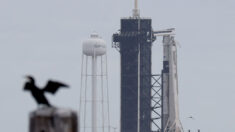 La cápsula Dragon de SpaceX se acopla con éxito a la EEI