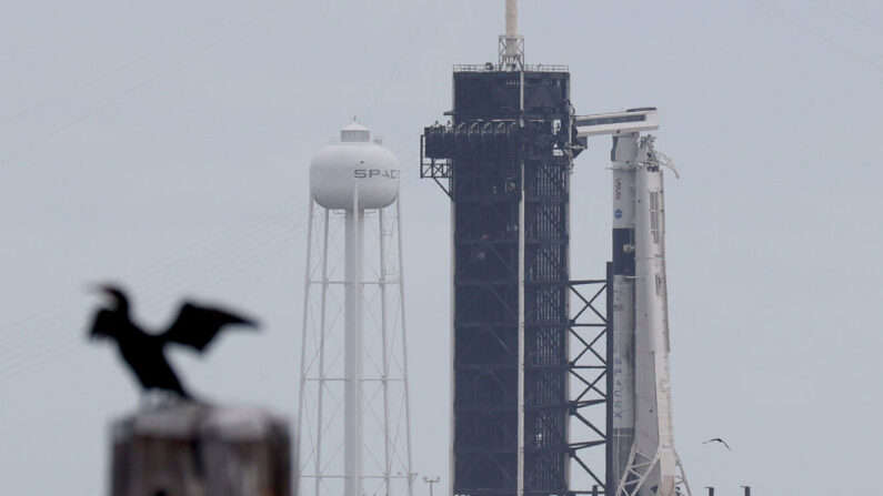 El cohete Falcon 9 de SpaceX y la cápsula Crew Dragon en la plataforma de lanzamiento 39A del Centro Espacial Kennedy de la NASA el 10 de noviembre de 2021 en Cabo Cañaveral, Florida (EE.UU.). (Joe Raedle/Getty Images)