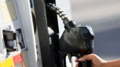 Precio de la gasolina a la baja posiblemente haya tocado fondo, se prevé que vuelva a subir: Expertos