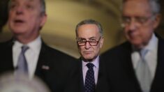 Parlamentaria rechaza tercer plan de inmigración de los demócratas en el presupuesto