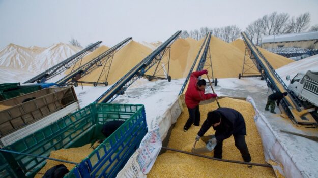 Acaparamiento de cereales por parte de China propicia aumento de precios mundiales de alimentos: Expertos
