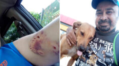 Hombre mexicano rescata a perrita callejera que lo mordió, y ahora lo saluda brincando de alegría