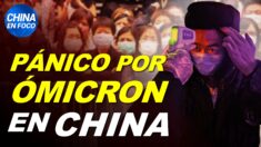 Pánico por ómicron en China, el virus no se detiene. Preocupantes imágenes de la policía china