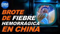 Brote de fiebre hemorrágica en China. Habla Peng Shuai y niega todo