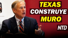 NTD Noticias: Texas anuncia construcción del muro fronterizo; Corte anula suspensión de mandato