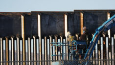 Gobernador de Texas confirma que ha comenzado oficialmente construcción de muro fronterizo